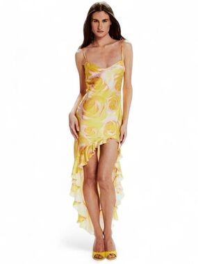 Mirae Valentia Dress in Wild Roses NWT